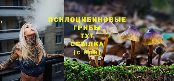 герыч Абаза